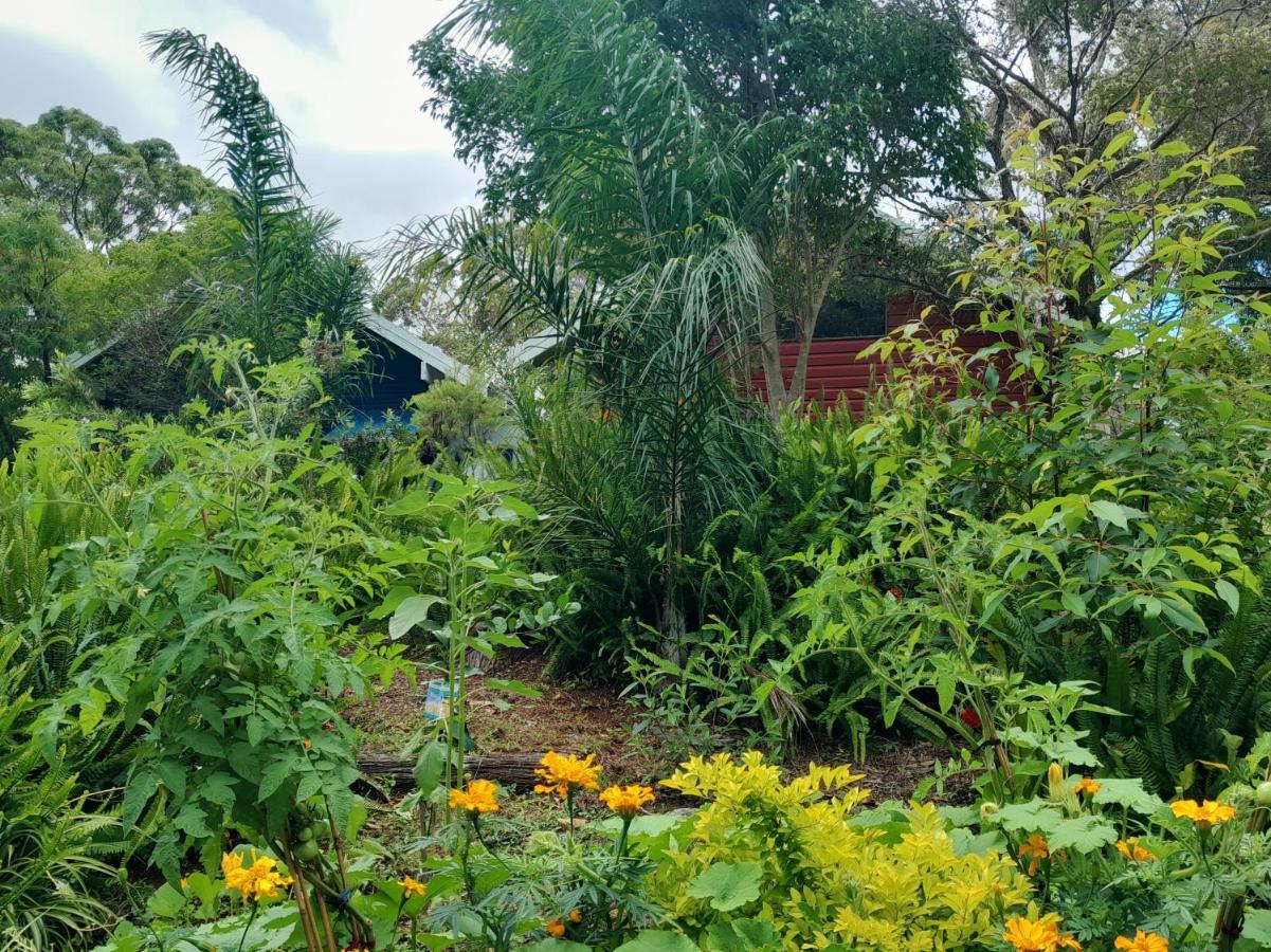Sky Island Mount Tamborine