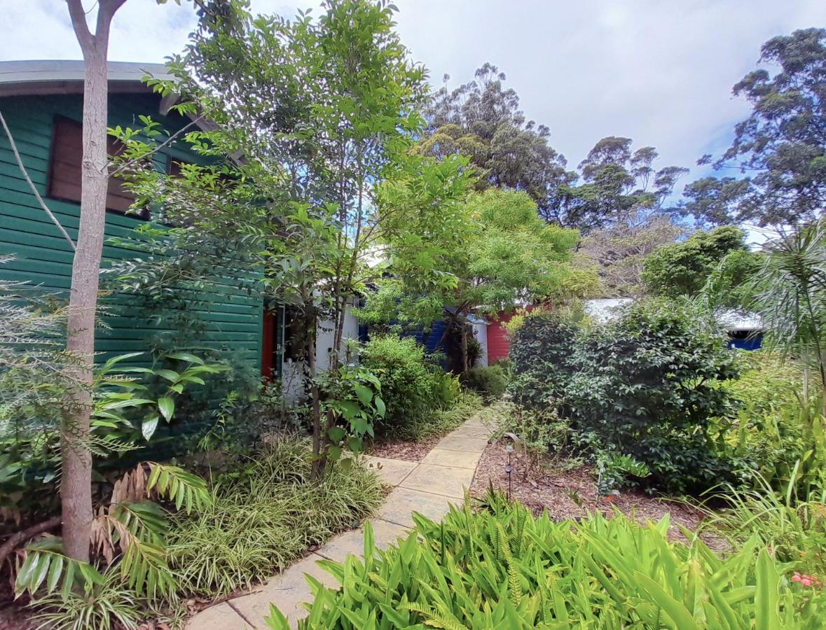 Sky Island Mount Tamborine
