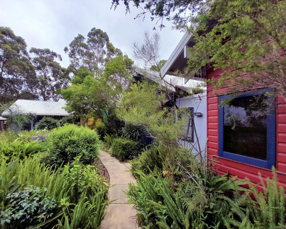 Sky Island * Mount Tamborine